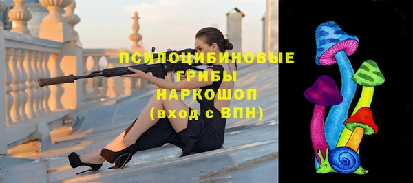 прущие грибы Касимов